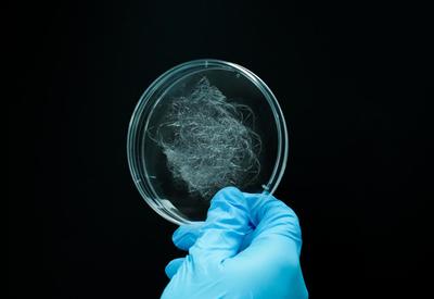 编织未来 态创生物以合成生物制造蛛丝蛋白，助推生物基新材料革新