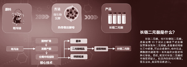 地沟油的新生 从废弃油脂到“高新工程材料”的绿色合成